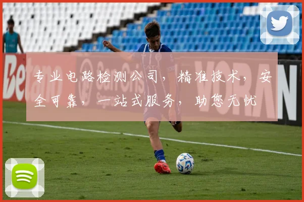 专业电路检测公司，精准技术，安全可靠，一站式服务，助您无忧