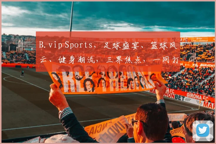 B.vip Sports，足球盛宴、篮球风云、健身潮流，三界焦点，一网打尽