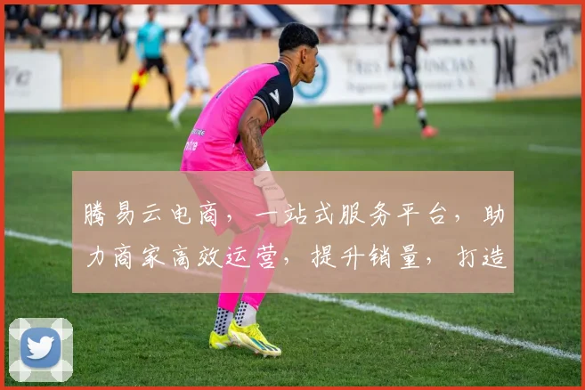 腾易云电商，一站式服务平台，助力商家高效运营，提升销量，打造爆款，实现共赢