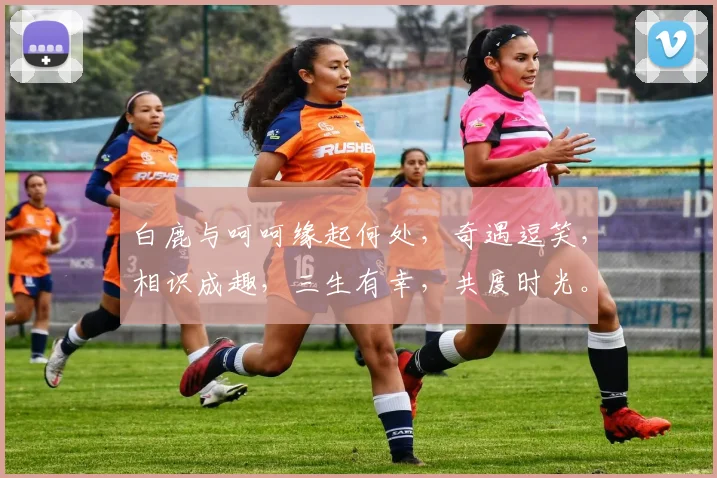 白鹿与呵呵缘起何处，奇遇逗笑，相识成趣，三生有幸，共度时光。