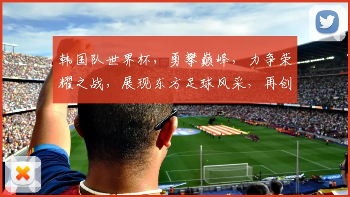 韩国队世界杯，勇攀巅峰，力争荣耀之战，展现东方足球风采，再创佳绩