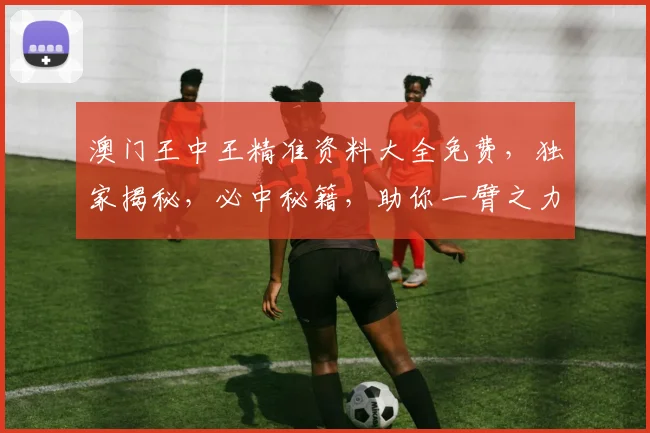 澳门王中王精准资料大全免费，独家揭秘，必中秘籍，助你一臂之力，轻松赢取大奖