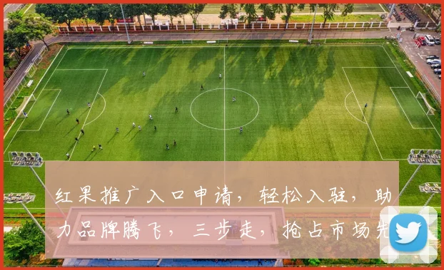 红果推广入口申请，轻松入驻，助力品牌腾飞，三步走，抢占市场先机，不容错过