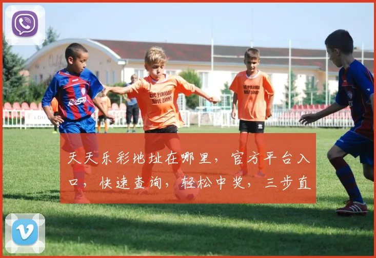 天天乐彩地址在哪里，官方平台入口，快速查询，轻松中奖，三步直达