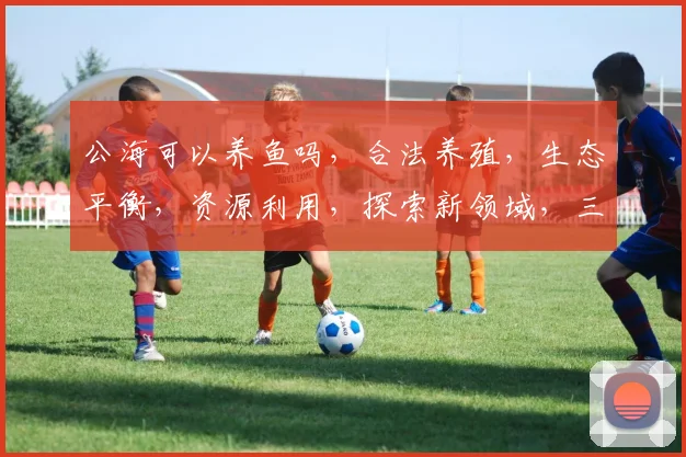 公海可以养鱼吗，合法养殖，生态平衡，资源利用，探索新领域，三大关注点，不容忽视