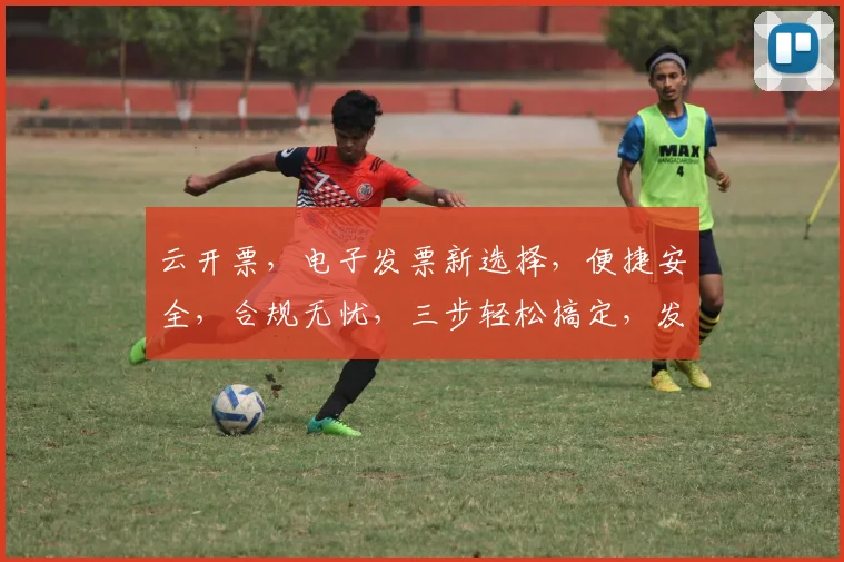 云开票，电子发票新选择，便捷安全，合规无忧，三步轻松搞定，发票管理更轻松。