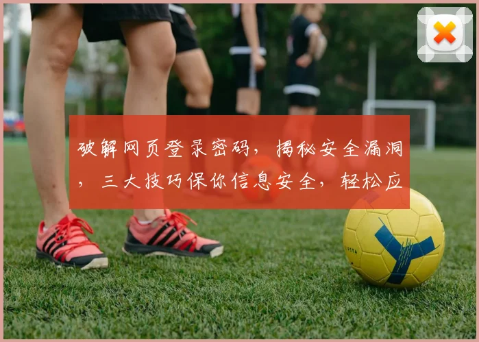破解网页登录密码，揭秘安全漏洞，三大技巧保你信息安全，轻松应对